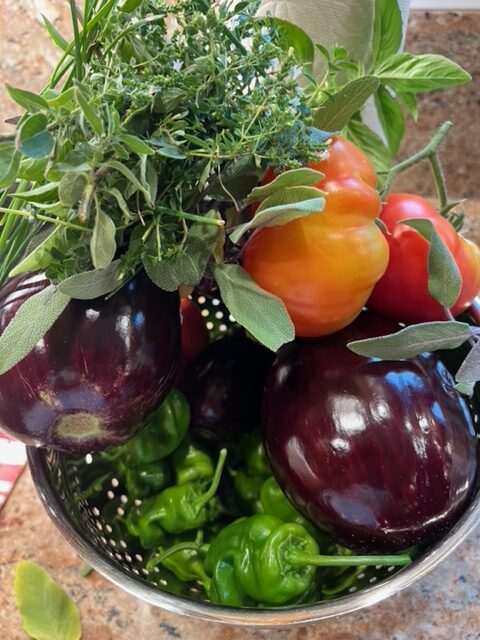 Eggplant Tomatoes fresh herbs and padrones