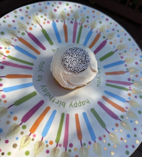 Very Vanilla Cupcakes with Vanilla Frosting