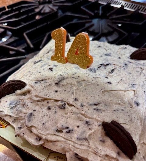 Vanilla Birthday Cake with Oreo Frosting