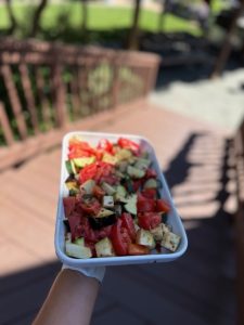 Tomatoes, Zucchini, and eggplant and fresh herbs